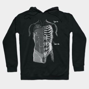 Anatomy Hoodie